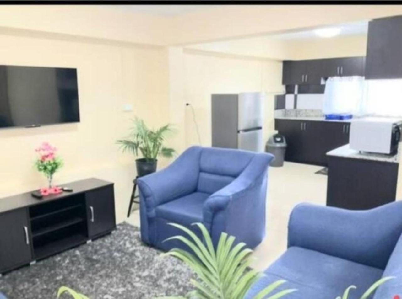 Singhs Elite Apartment Nadi Extérieur photo